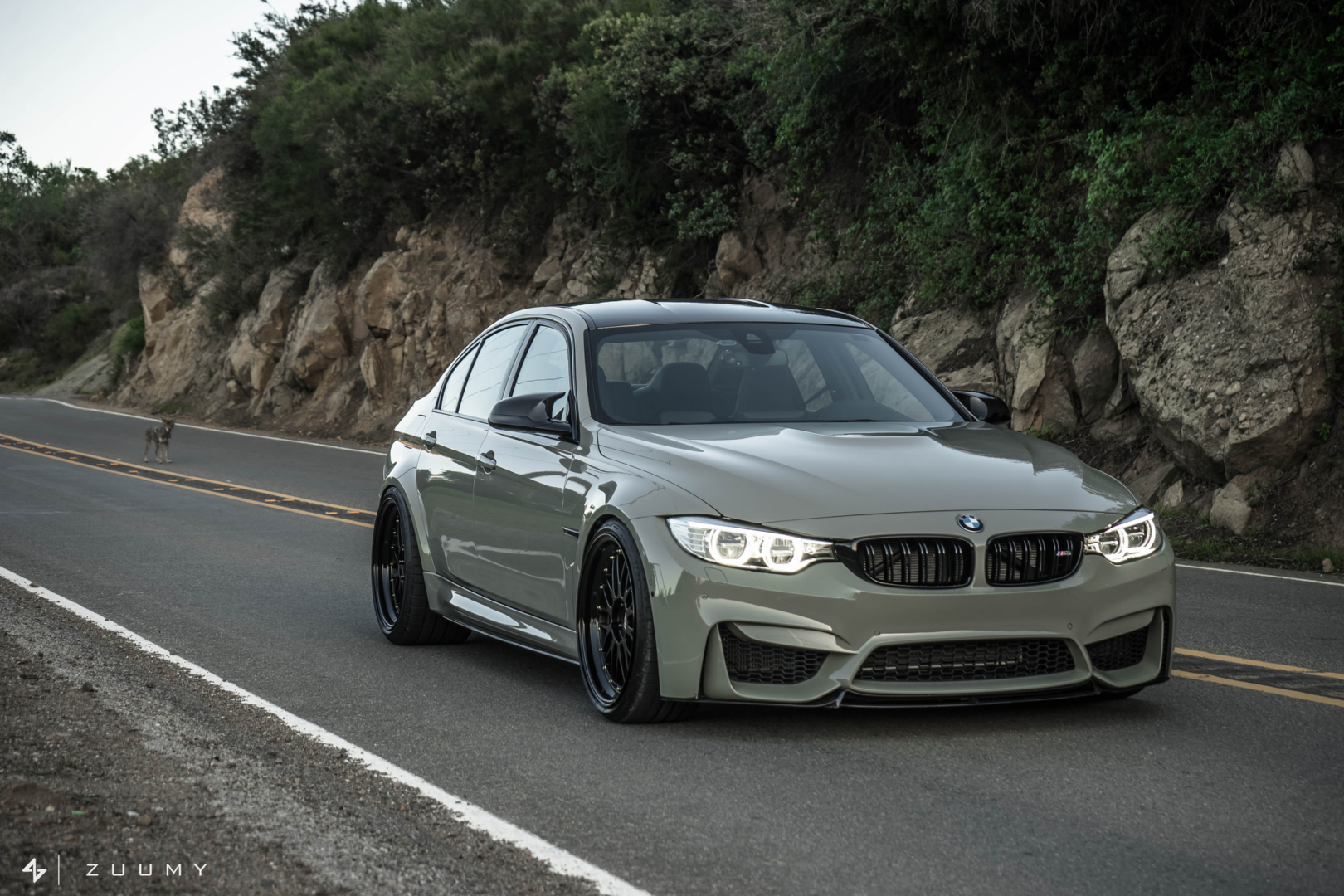 BMW m3 f80 Grey